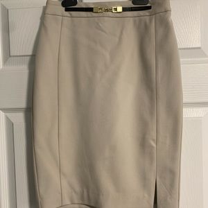Express Pencil Skirt